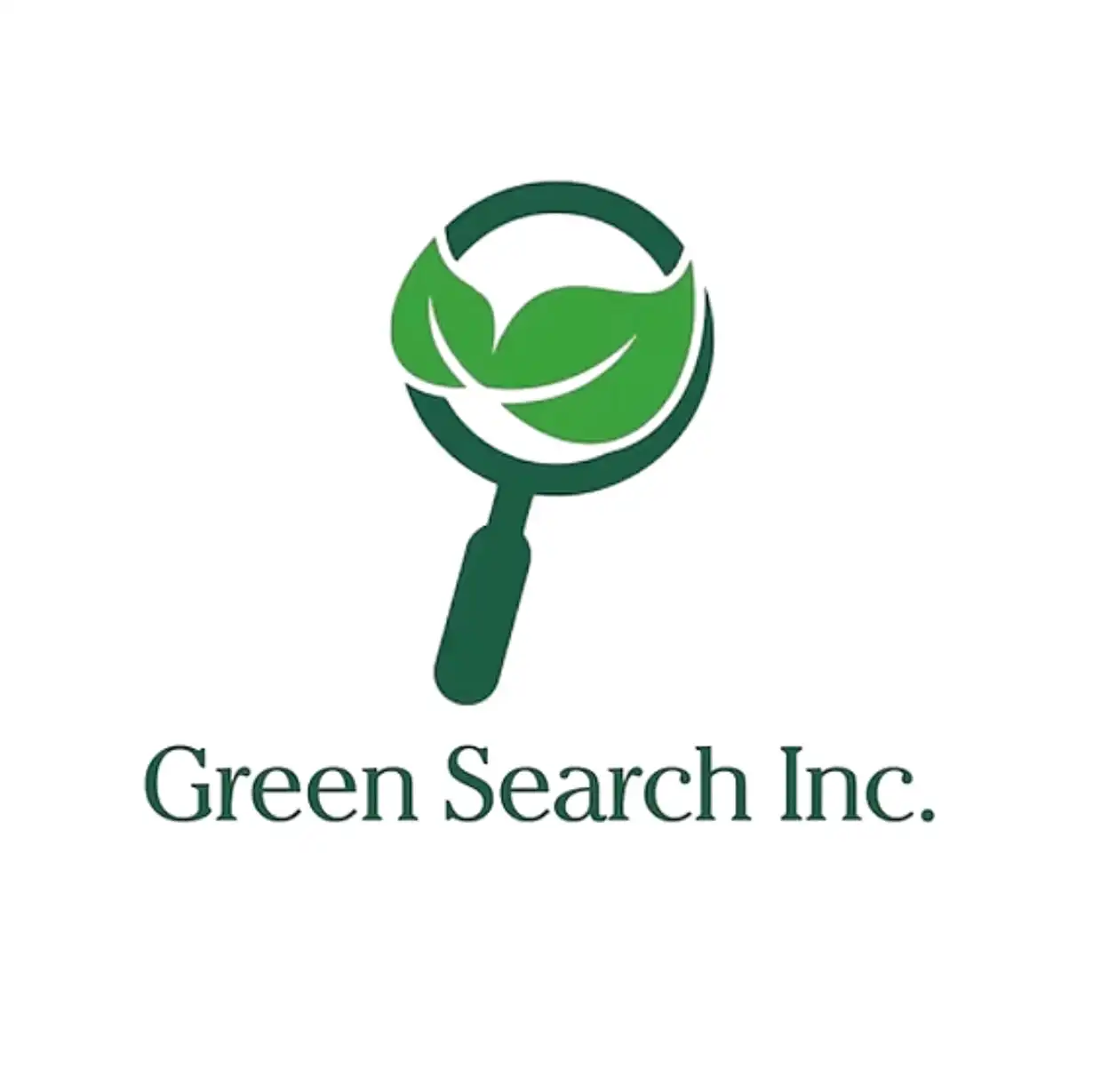 Remco Kostwinder, Green Search Inc.